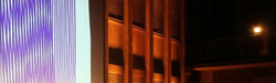 PKN 018@MainTor